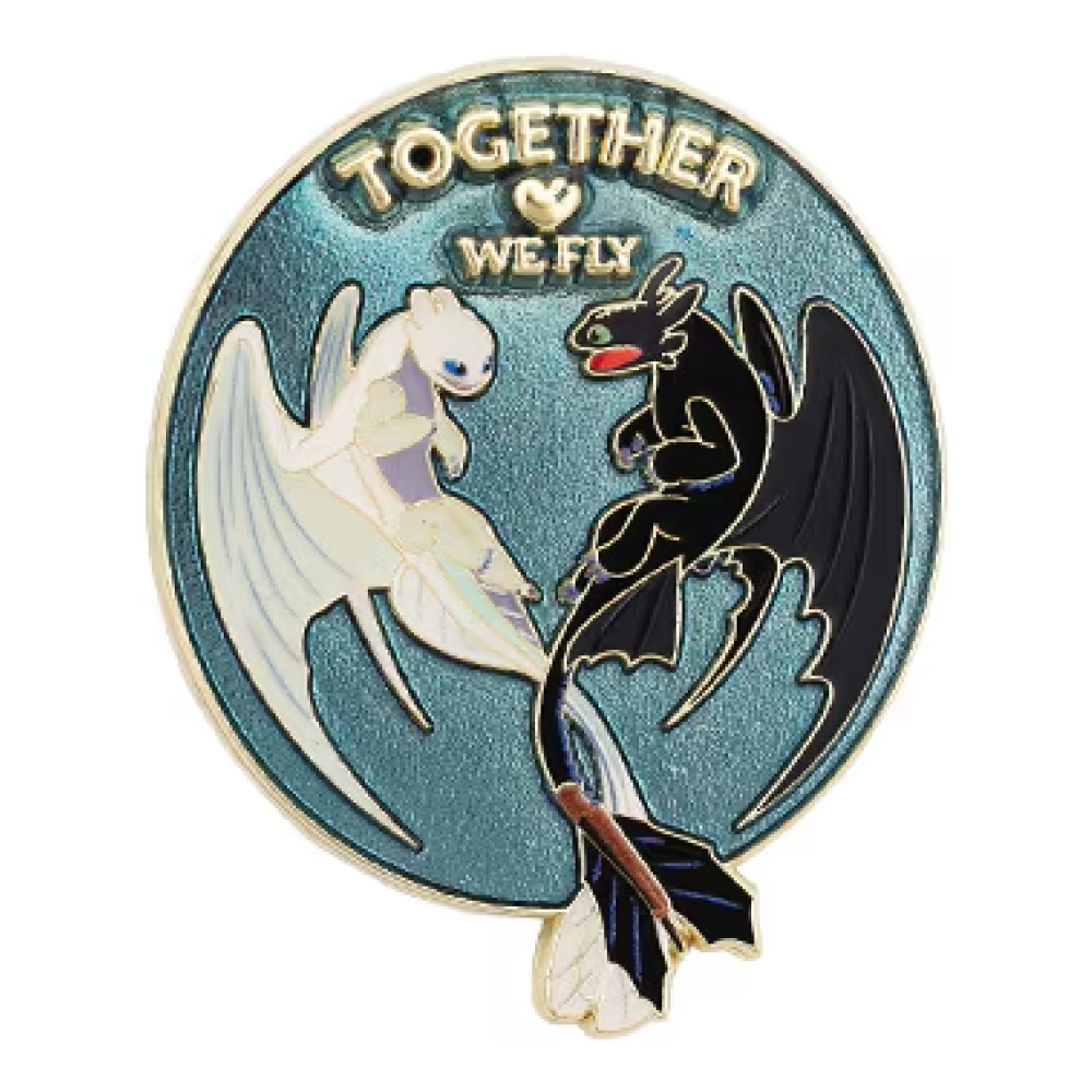 How to Train Your Dragon Together We Fly Pin
