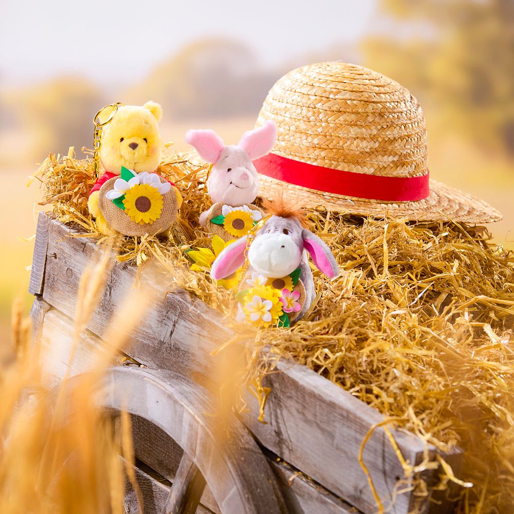 Llavero de peluche Winnie Pooh de verano de Disney Store Japón – Winnie Pooh
