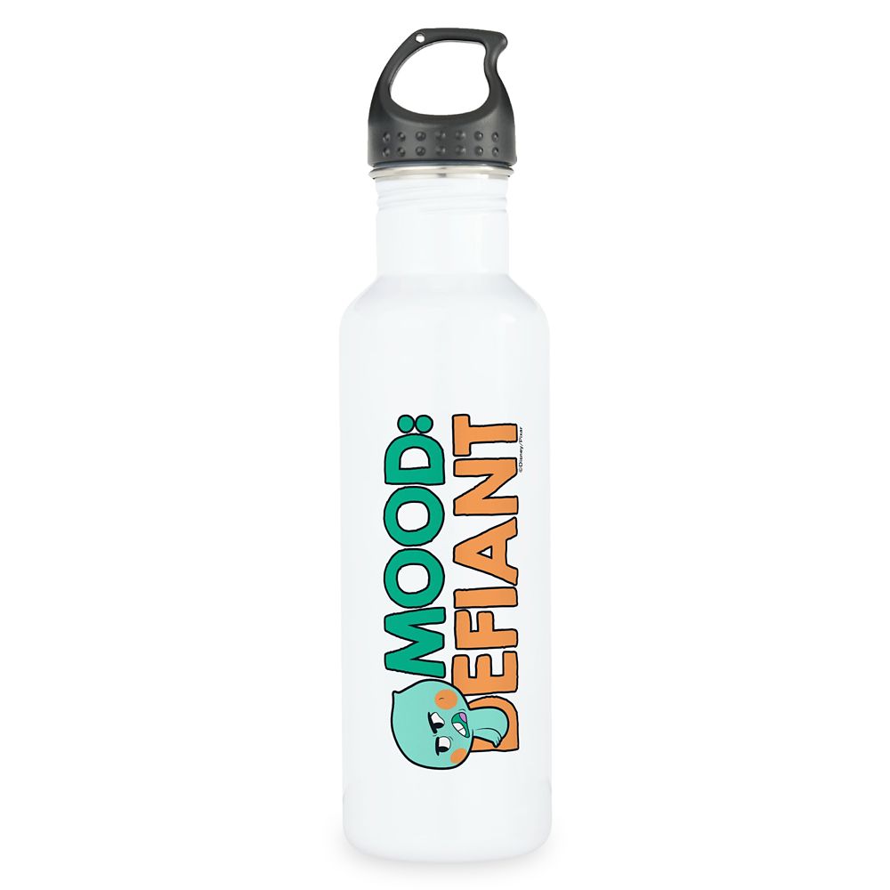 Botella de agua de acero inoxidable 22 Ánimo: Desafiante – Soul