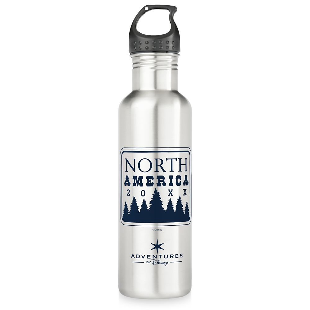 Botella de agua de acero inoxidable Adventures by Disney Aventura Familiar en Norteamérica