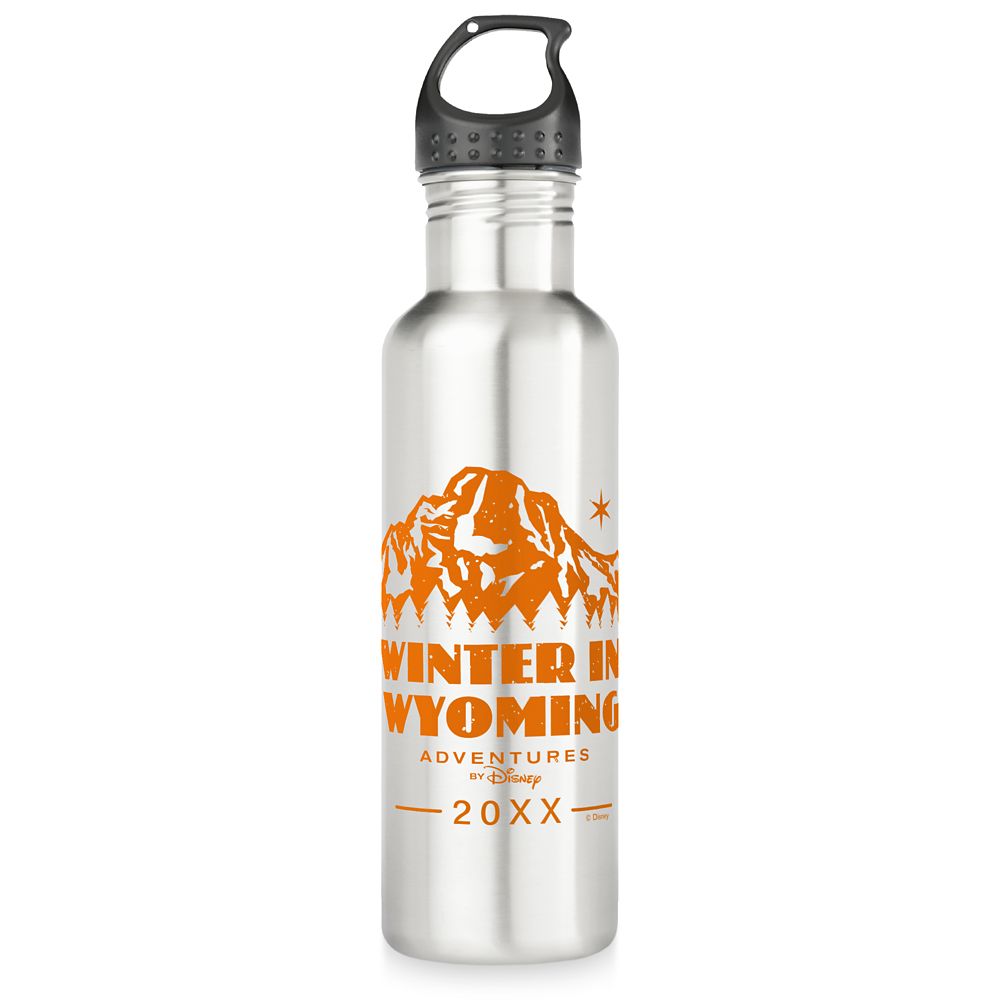 Botella de agua de acero inoxidable Adventures by Disney Invierno en Wyoming