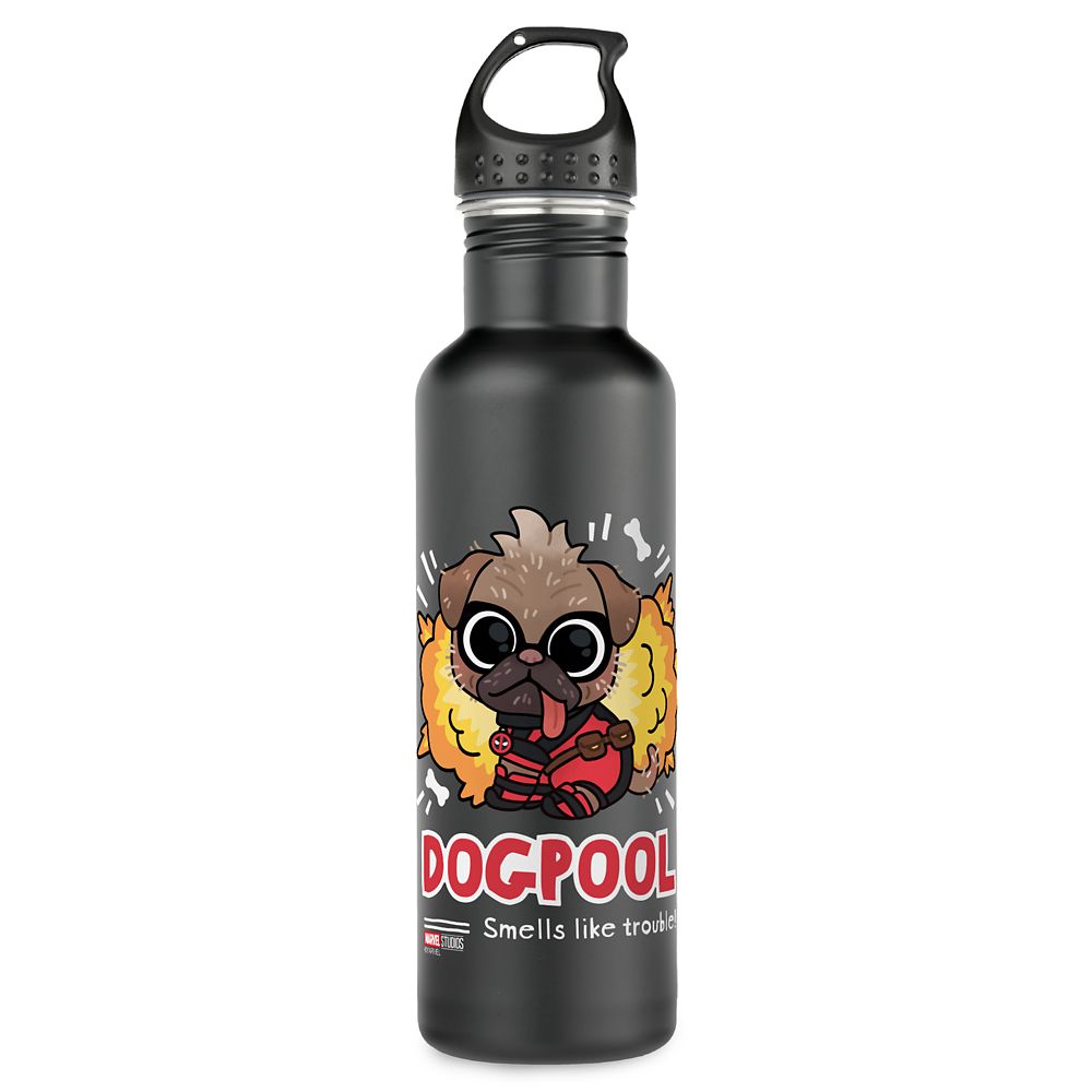 Botella de agua de acero inoxidable Dogpool huele a problemas – Deadpool y Wolverine