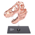 Jurassic Park T-Rex Skull Scaled Prop Replica